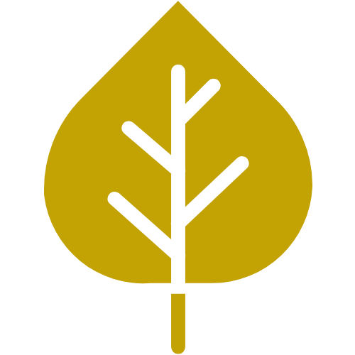 Aspen leaf icon