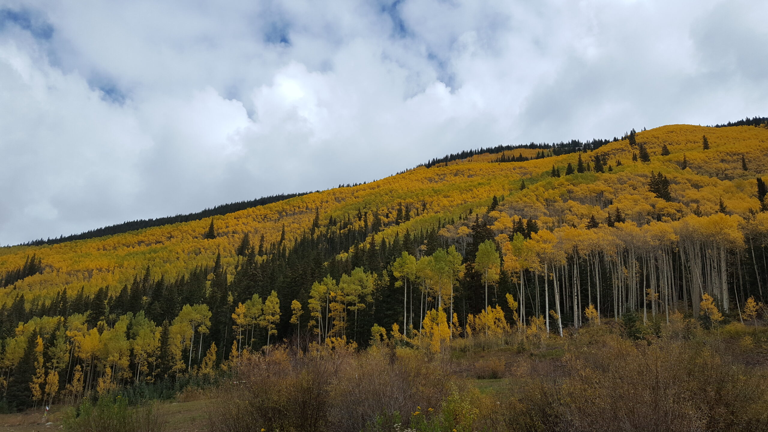 Where to Stay in Aspen in the Fall: A Luxury Traveler's Guide to the Best Areas & Rentals in 2025
