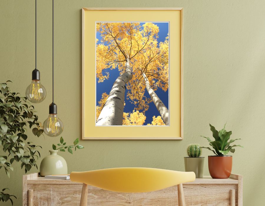 Art and home decor shopping in Aspen