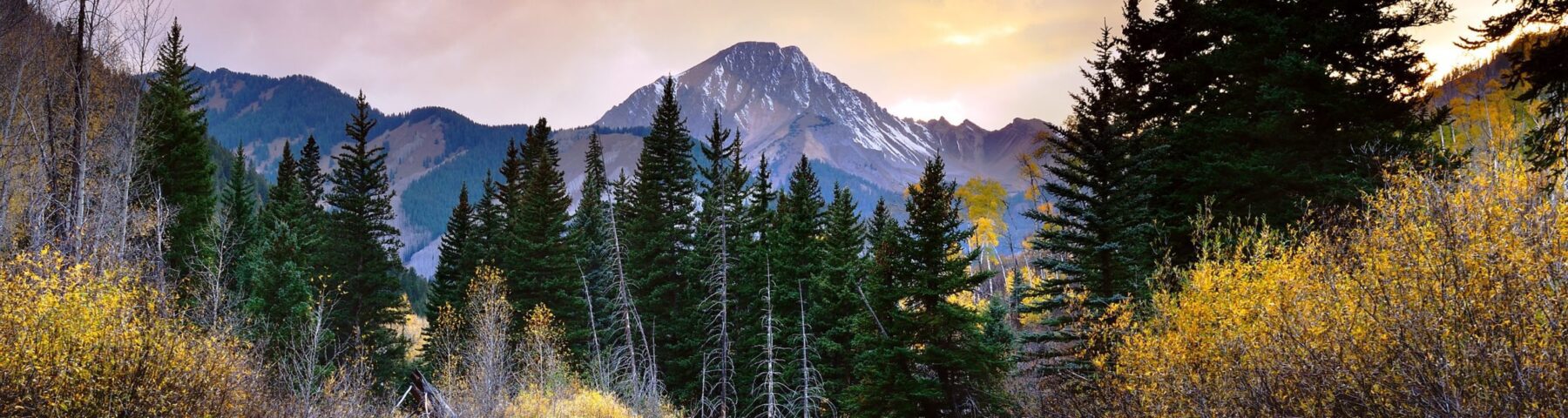 Snowmass luxury rentals